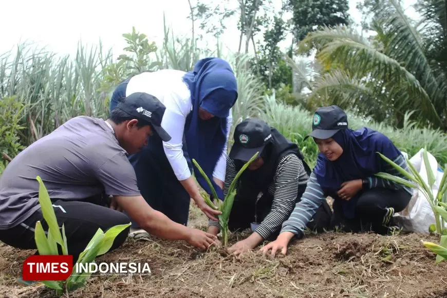 Wujudkan Desa Mandiri Obat, 53 Mahasiswa KSM-T Unisma Hijaukan Desa Jabung dengan Bibit TOGA