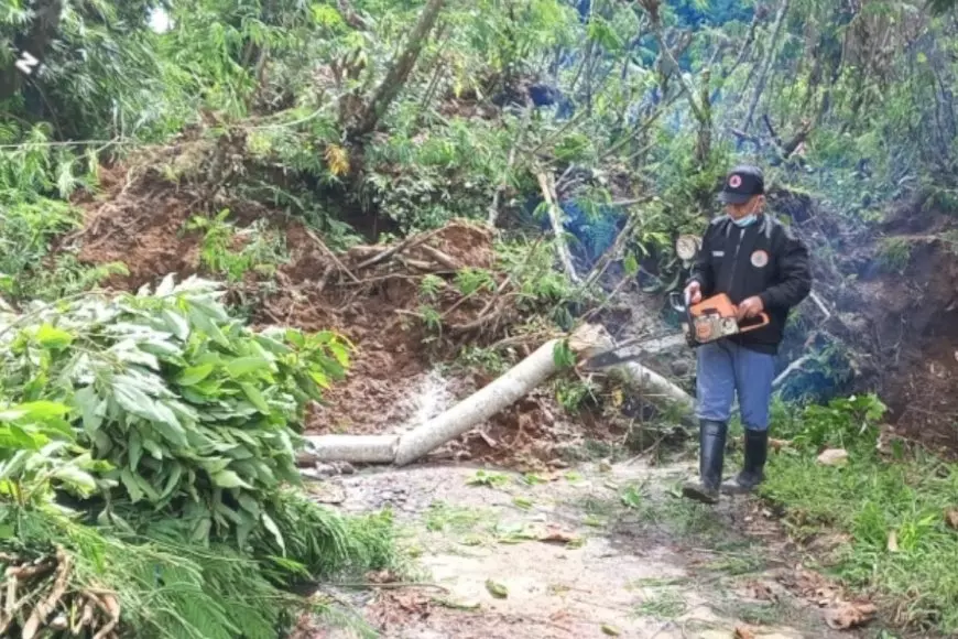 Longsor Tutup Akses Jalan Penghubung di Desa Tamansari Kabupaten Malang, 1.213 Warga Terdampak