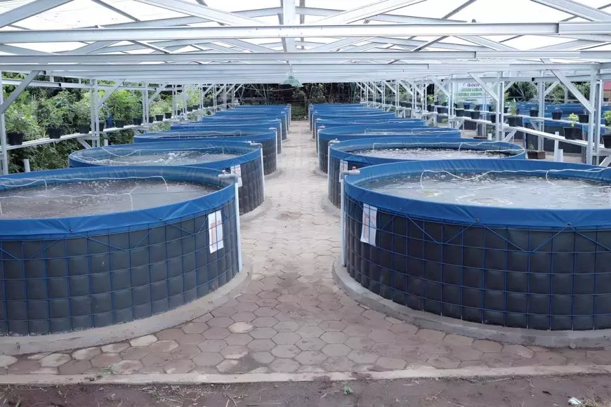 Dari Sungai ke Kolam Bioflok, Pakarti Gunungkidul Raup Bantuan Rp 215 Juta untuk Budidaya Ikan