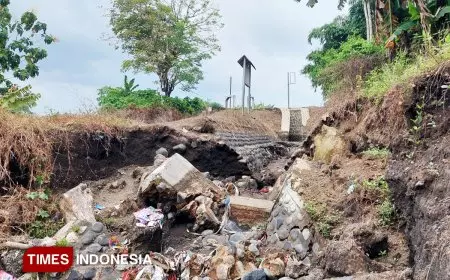 Irigasi Dam di Banyuwangi Ambrol, Petani Terancam Tak Bisa Bercocok Tanam