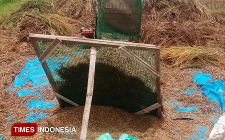 Dinas Pertanian Rembang Gerak Cepat Tangani Serangan Wereng di Desa Gunungsari