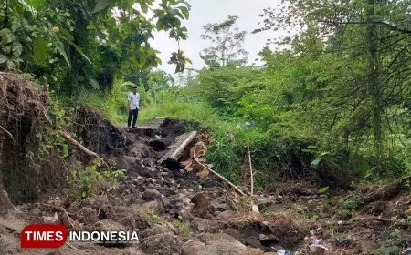 Dam Sekaitan Ambrol, Petani hingga Pimpinan DPRD Banyuwangi Sayangkan Respons Dinas PU Pengairan