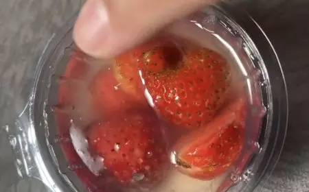 Usai Temuan Belatung di Menu MBG, Wali Murid SD di Lowokwaru Kota Malang Keluhkan Kualitas Makanan