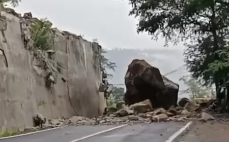 Longsor Tebing 50 Meter, Batu Raksasa Tutup dan Lumpuhkan Jalur Ponorogo-Trenggalek