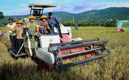 Surplus 900 Ribu Ton Beras, Gubernur Jateng Minta Intervensi Harga Jelang Lebaran