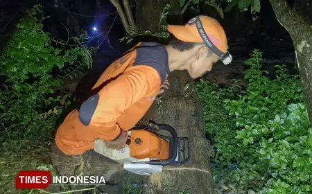 Pohon Tumbang Timpa Rumah di Bondowoso, Penghuni Terluka