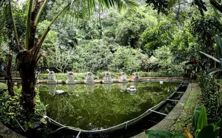 BMKG: Hujan Lebat dan Angin Kencang Intai Bandung, Waspada Pohon Tumbang