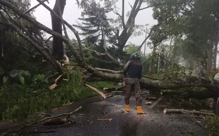 Dua Bibit Siklon di Selatan Jawa Picu Cuaca Ekstrem di Malang Raya