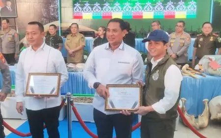 Habitat Menyusut Tajam, Pemerintah Siapkan Inpres Penyelamatan Gajah Sumatera