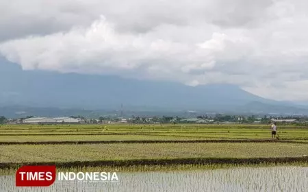 ​Tajuk Redaksi: Menggugat Narasi Produksi Pertanian Indonesia