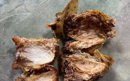 Kurma Berisi Belatung Ditemukan dalam Menu MBG di Banyuwangi