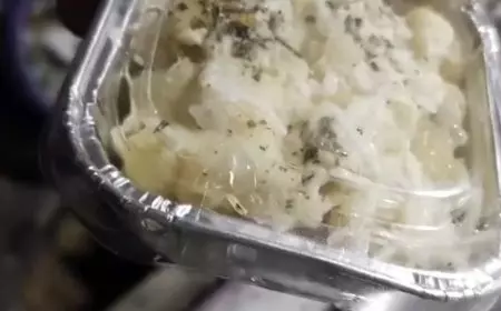 Menu MBG Berbelatung Kembali Ditemukan di SD Kota Malang, Satgas Lakukan Klarifikasi