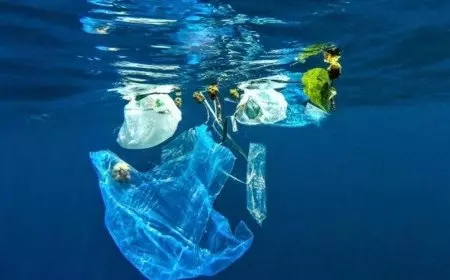 Mikroplastik Ditemukan hingga Kedalaman 2.450 Meter di Laut Indonesia, Berpotensi Masuk ke Rantai Makanan