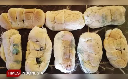 Temuan Roti Berjamur di Program MBG, Guru Besar UGM Ingatkan Risiko Kesehatan bagi Anak