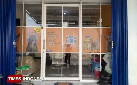 Tekan Populasi Kucing Terlantar, Stray Cat Defender Malang dan Happy Cat Indonesia Gelar Sterilisasi Bersubsidi