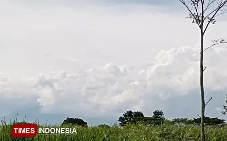 BMKG Keluarkan Peringatan Dini Angin Kencang di Malang Raya, Warga Diminta Waspada