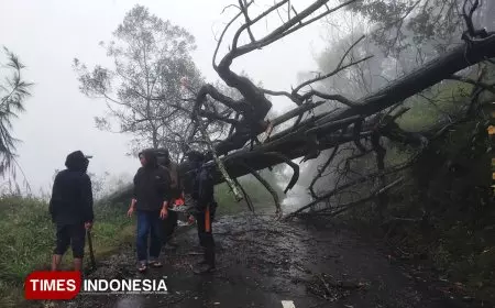 TNBTS Tutup Wisata Ranu Regulo Akibat Ancaman Cuaca Ekstrem