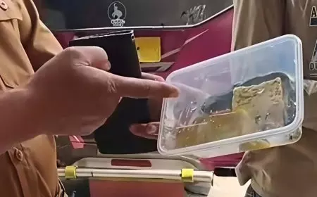 Menu MBG Berisi Lele Mentah di SMAN 2 Pamekasan, Kepala Sekolah: Baunya Sangat Amis