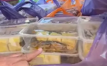 Viral Menu MBG Lele Mentah di Pamekasan, Ini Klarifikasi BGN