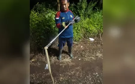 Ular Kobra Sembunyi di Bawah Kasur Resahkan Warga di Banyuwangi