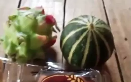 Viral Buah Naga Mentah di Menu MBG Probolinggo, SPPG Akui Kelalaian Tim