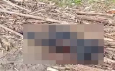 Mayat Misterius Ditemukan di Pancer Door Pacitan, Polisi Tunggu Keluarga Tiga Hari