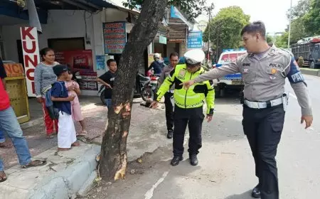 Kecelakaan Tunggal di Banyuwangi, Dua Orang Tewas Setelah Motor Tabrak Pohon