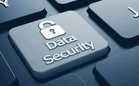 Implementasi PP TUNAS Diminta Ditunda, Pakar dan Praktisi Pendidikan Soroti Risiko Keamanan Data Anak