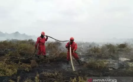 Karhutla Kampar: Tim Gabungan Berjibaku Padamkan 15 Hektare Lahan Gambut