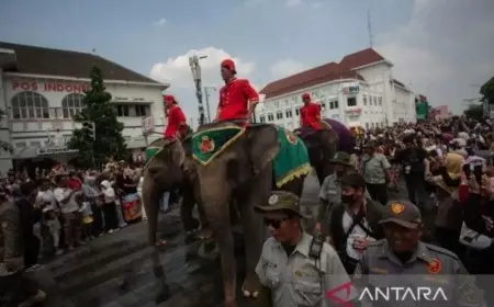 Grebeg Syawal 2026: Keraton Yogyakarta Pastikan Tak Ada Lagi Gajah dalam Kirab