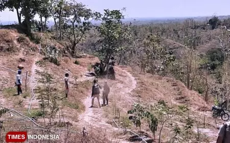 Lakom Tambang Emas di Banyuwangi Ini Tercatat Sebagai yang Terluas di Indonesia