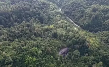 Menelusuri Sisi Kelam dan Magis Jalur Legendaris Gunung Gelap Garut