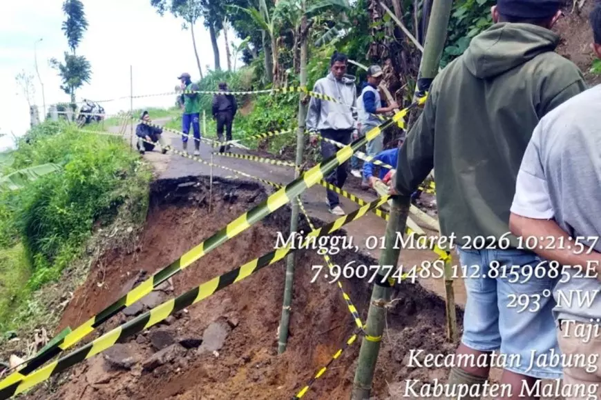 Terdampak Hujan Deras, Tanah Penahan Jalan di Jabung Malang Longsor