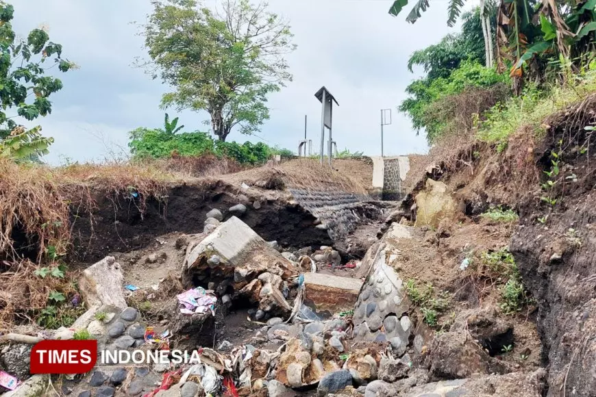 Irigasi Dam di Banyuwangi Ambrol, Petani Terancam Tak Bisa Bercocok Tanam
