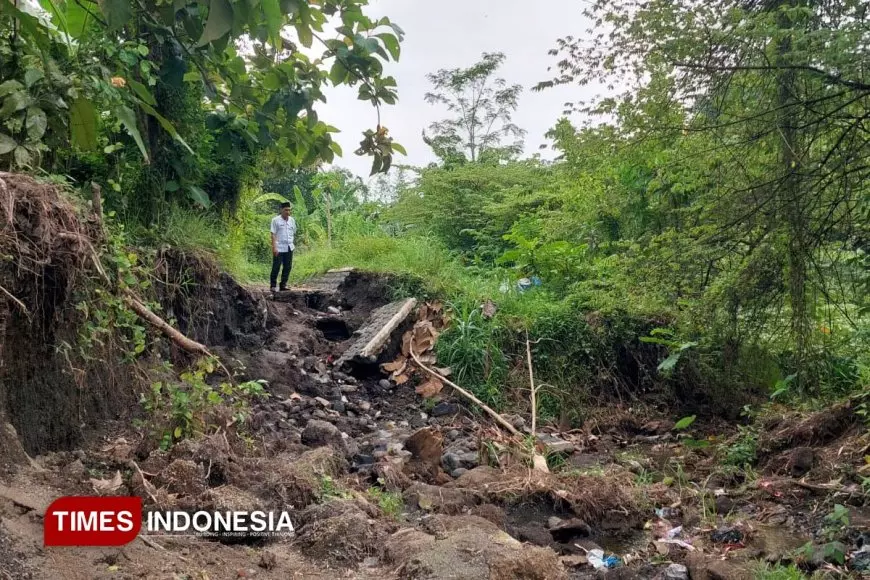 Dam Sekaitan Ambrol, Petani hingga Pimpinan DPRD Banyuwangi Sayangkan Respons Dinas PU Pengairan