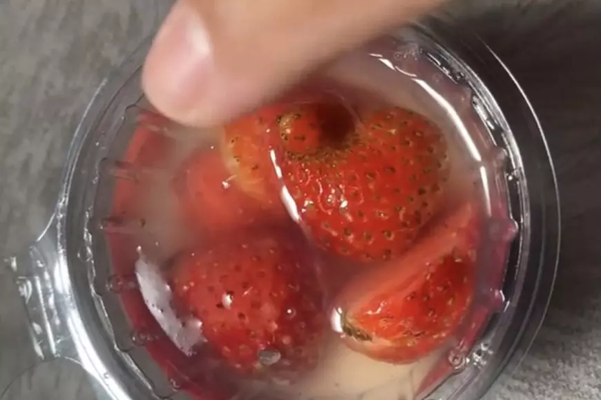 Usai Temuan Belatung di Menu MBG, Wali Murid SD di Lowokwaru Kota Malang Keluhkan Kualitas Makanan