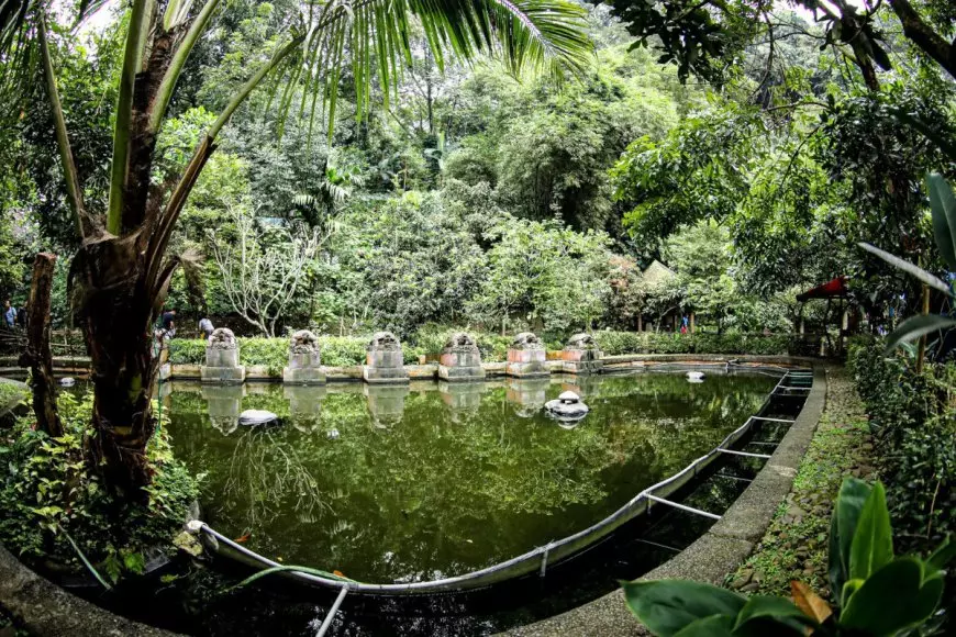 BMKG: Hujan Lebat dan Angin Kencang Intai Bandung, Waspada Pohon Tumbang