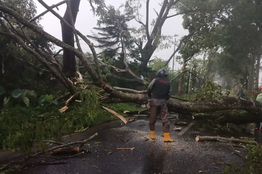 Dua Bibit Siklon di Selatan Jawa Picu Cuaca Ekstrem di Malang Raya