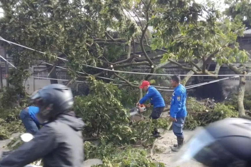 Puting Beliung Terjang Cimahi: 129 Rumah Rusak dan 4 Warga Terluka