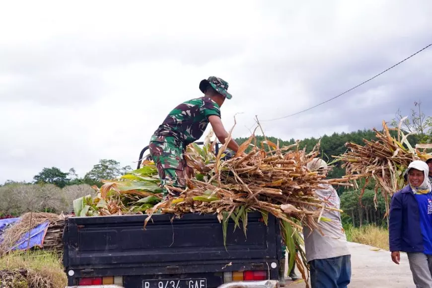 Satgas TMMD Ke-127 Kodim 0808 Blitar Bantu Warga Angkut Pakan Ternak