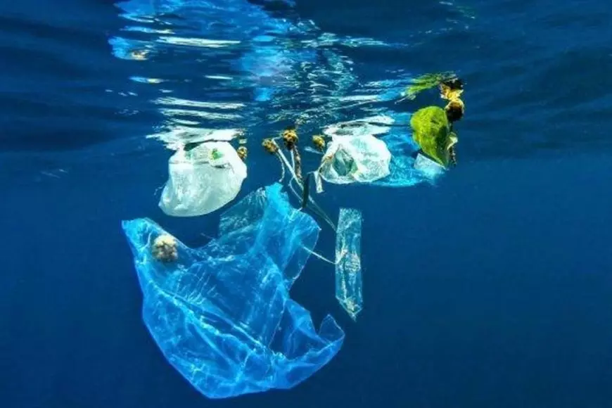 Mikroplastik Ditemukan hingga Kedalaman 2.450 Meter di Laut Indonesia, Berpotensi Masuk ke Rantai Makanan
