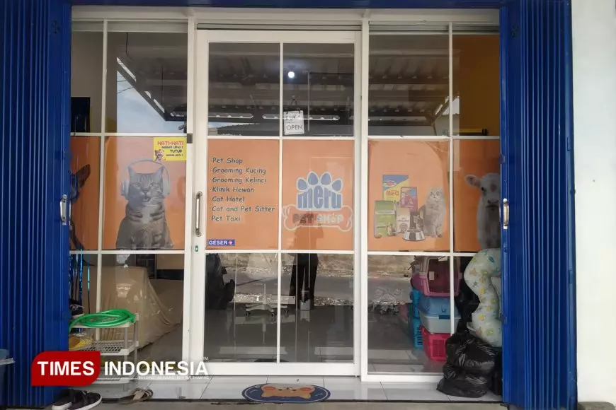 Tekan Populasi Kucing Terlantar, Stray Cat Defender Malang dan Happy Cat Indonesia Gelar Sterilisasi Bersubsidi