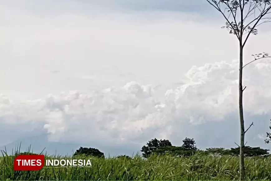 BMKG Keluarkan Peringatan Dini Angin Kencang di Malang Raya, Warga Diminta Waspada