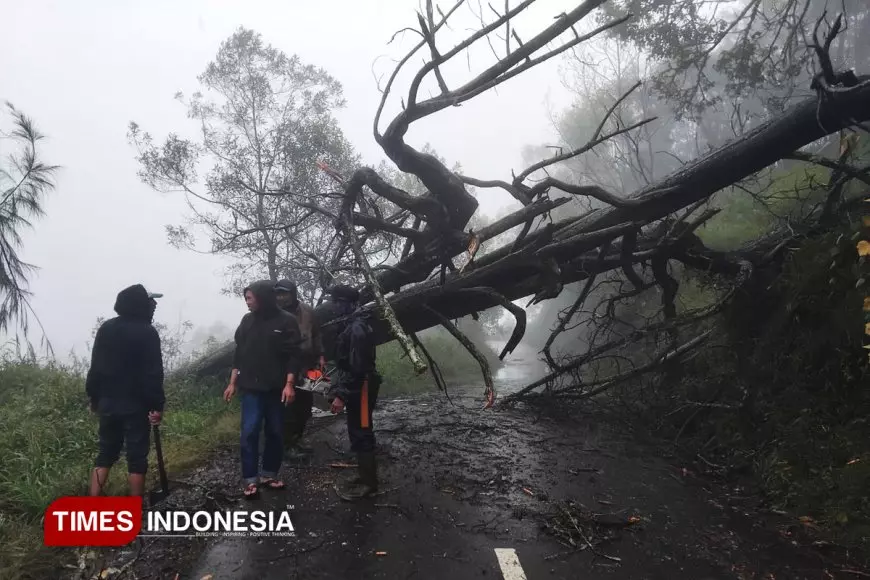 TNBTS Tutup Wisata Ranu Regulo Akibat Ancaman Cuaca Ekstrem
