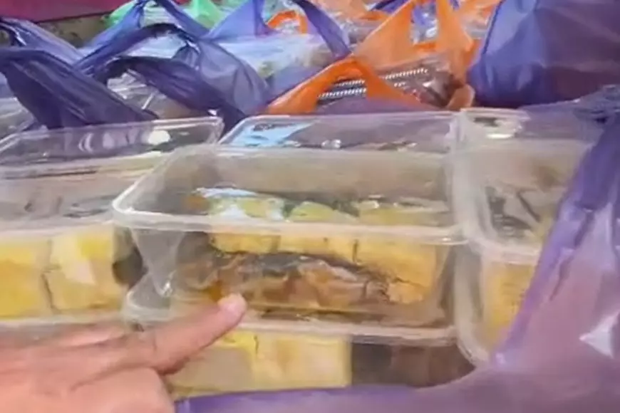 Viral Menu MBG Lele Mentah di Pamekasan, Ini Klarifikasi BGN