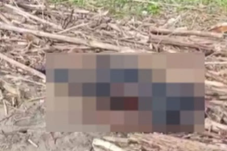 Mayat Misterius Ditemukan di Pancer Door Pacitan, Polisi Tunggu Keluarga Tiga Hari