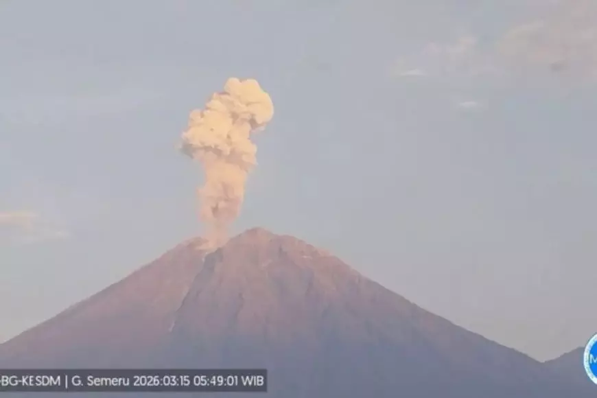 Gunung Semeru Erupsi 11 Kali Minggu Pagi, Tinggi Letusan Capai 1.200 Meter