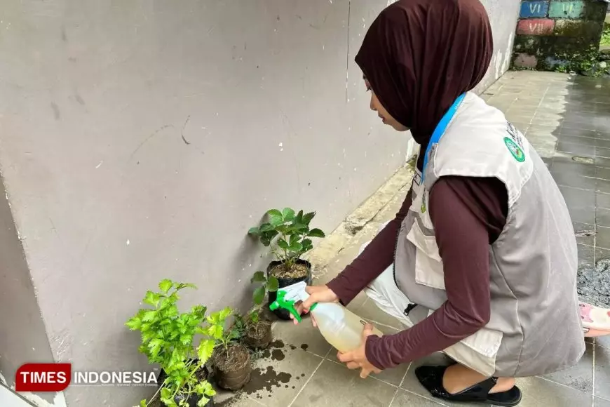 Mahasiswa KSM-T UNISMA Uji Coba Pengaplikasian POC Hand Made untuk Tanaman Warga Desa kemiri
