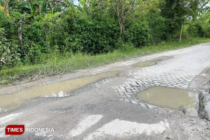 Proyek Inpres Meninggalkan Masalah, Jalan Desa Sambongrejo Blora Rusak Parah