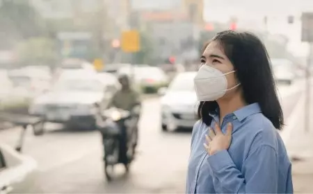 Cara Memilih Air Purifier yang Tepat untuk Rumah Sehat